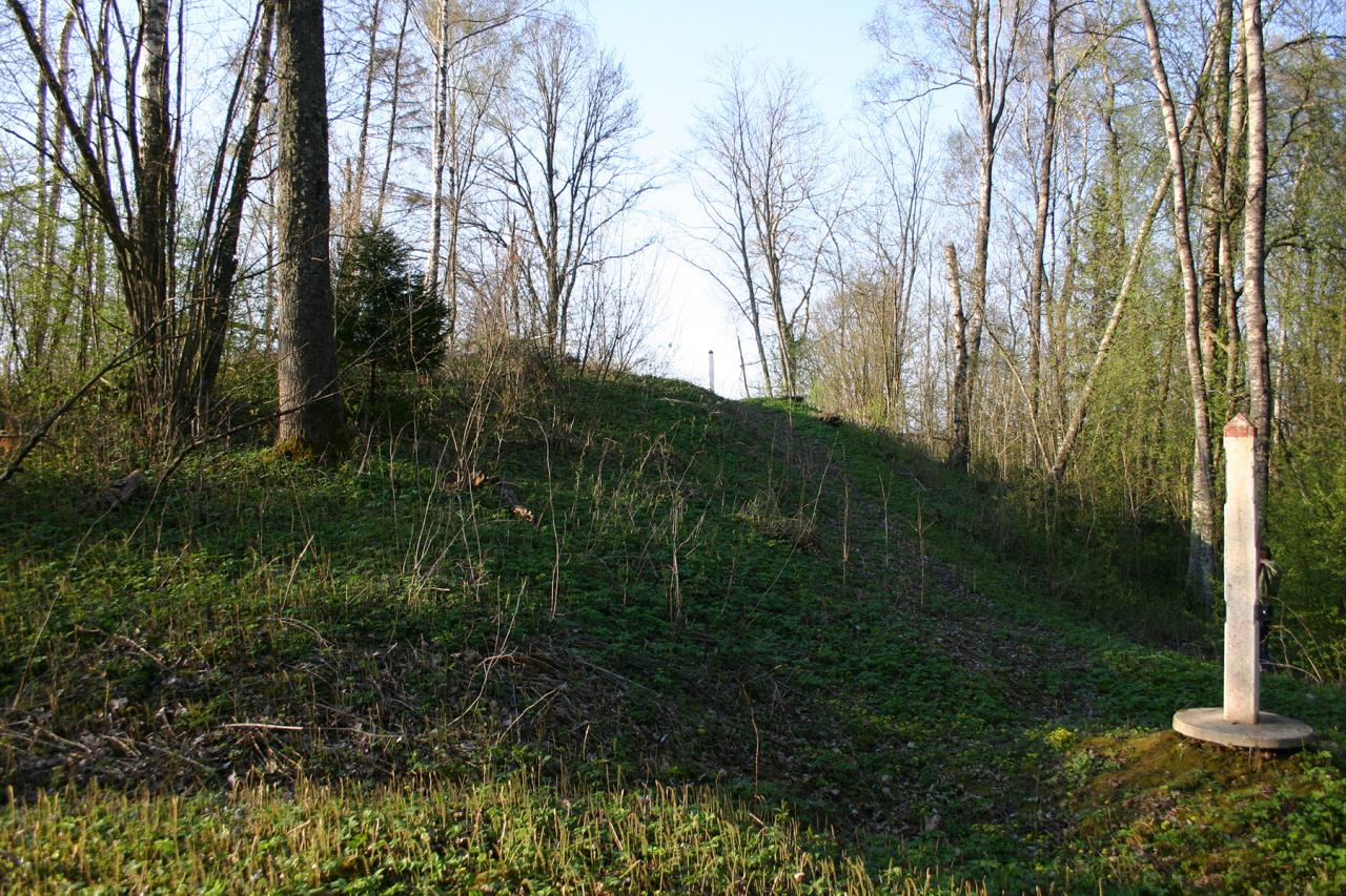 Užubalių (Petriki) piliakalnis