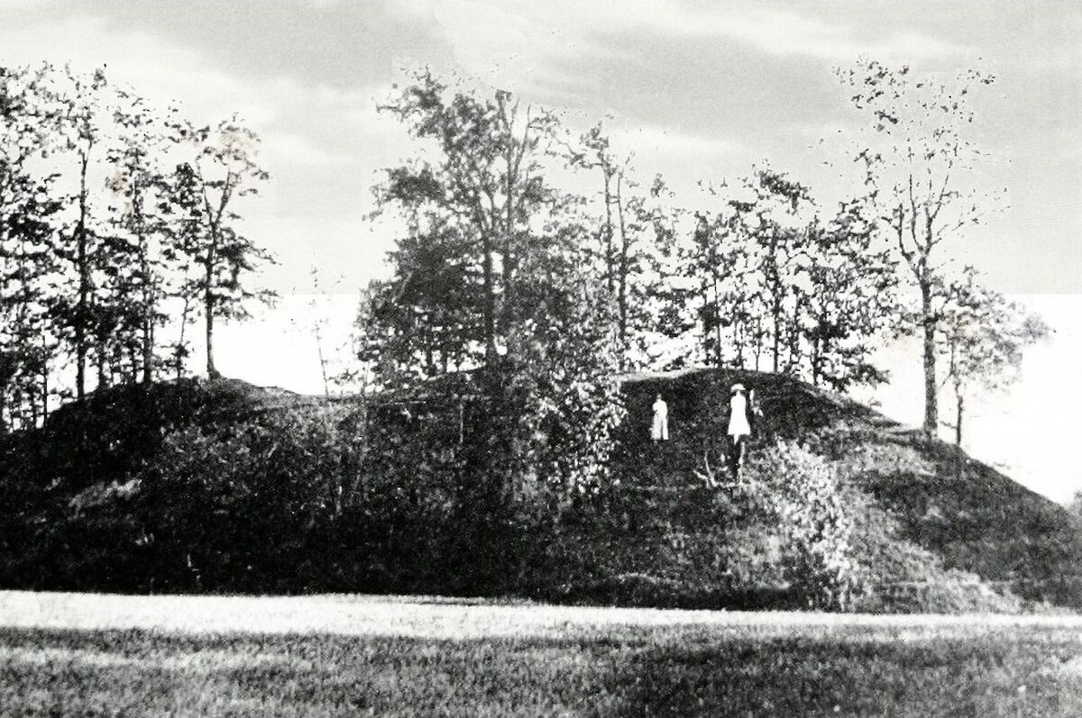 Tamoviškių dvarvietė