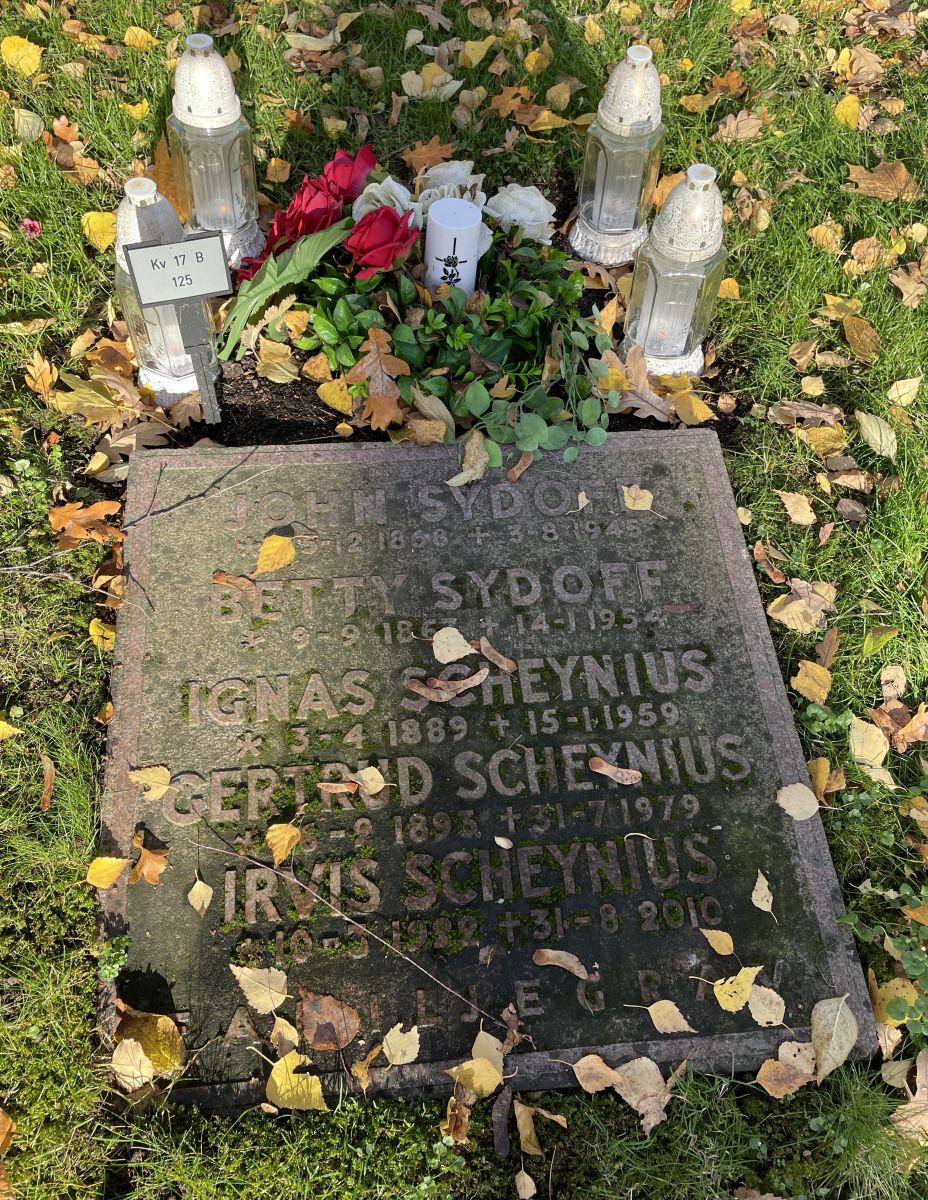 Igno Šeiniaus (1889-1959), jo žmonos, sūnaus ir uošvių kapas Šiaurinėse miesto kapinėse