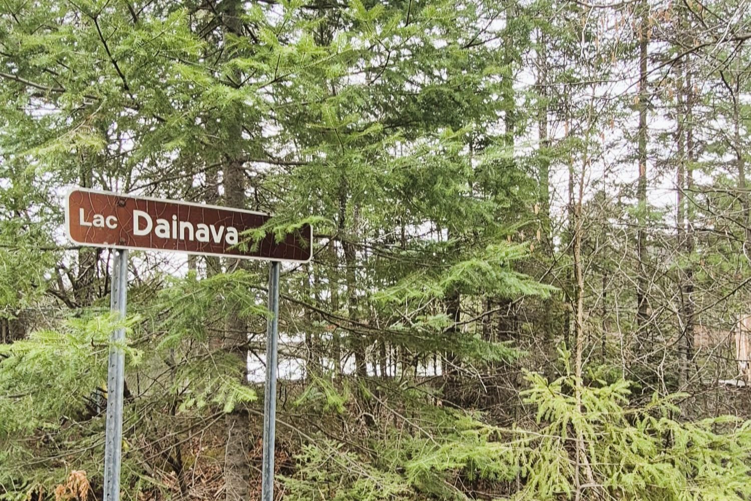 Dainavos ežeras